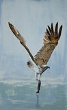 by Alan Pickersgill