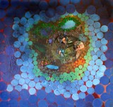 by Limor Golan Nesher