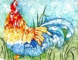 by Pam Sheldon