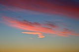 by Thomas Curry