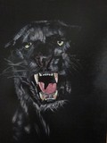 by chris cooper