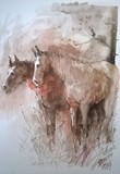by Lorand Sipos