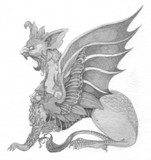 by noah fukui