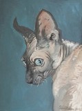 by Sarah Goodrich