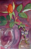 by Irina Stroup