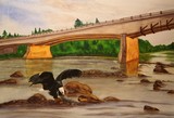 by Jo Ann Fahlman