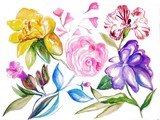 by cecelia Johnson