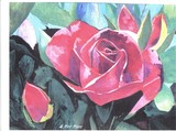 by Larry McNeil
