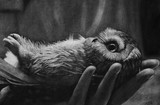 by Teresa Kae