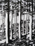 by Predrag Milosevic Pedja