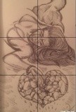 by Anthony Almeyda