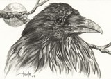 by John Houle