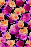 by Mihaela B