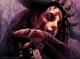 by Steve Argyle