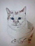 by Ariella Belau
