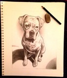 by Candy (Amanda) Christofferson (Meester)