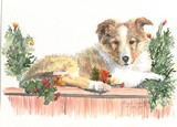by Gayle Taylor