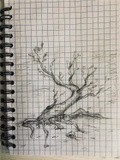 by Sofia Bunakova