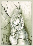 by Rebecca Sinz