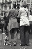 by Stijn De Blieck