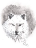 by Rose Blanscet