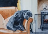 by Yvonne Carter