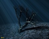 by Darko Dautovic
