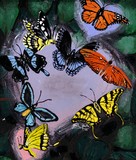 by Kelli Sparks