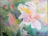 by Belinda Balaski
