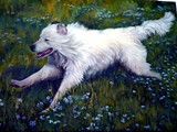 by Anna Trubnikov