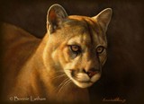 by Bonnie Latham