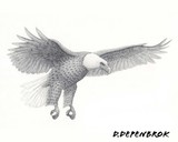 by daniel  depenbrok