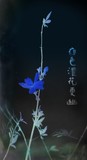 by cervantes wu