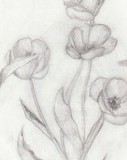 by Minni Mouse