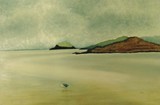 by paul cowling