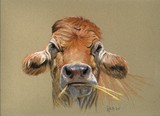 by Jennifer Redstreake