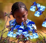 by Lisa Brewer