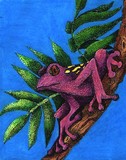 by Brenda Mullard