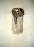 by Emily Tallen