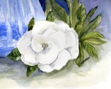 by Marilyn Barton
