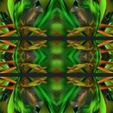 by Barry Huyett