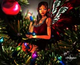 by Sandy Wiech