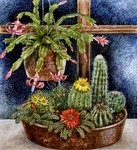 by Tricia Newell