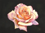 by Fletcher Derrick