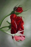by Sally Holt