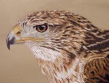 by Kathie Miller