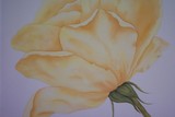 by Lori Azzolino