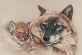 by Barbara Keith
