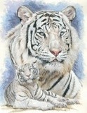 by Barbara Keith