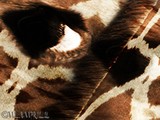 by Melanie Lamprill